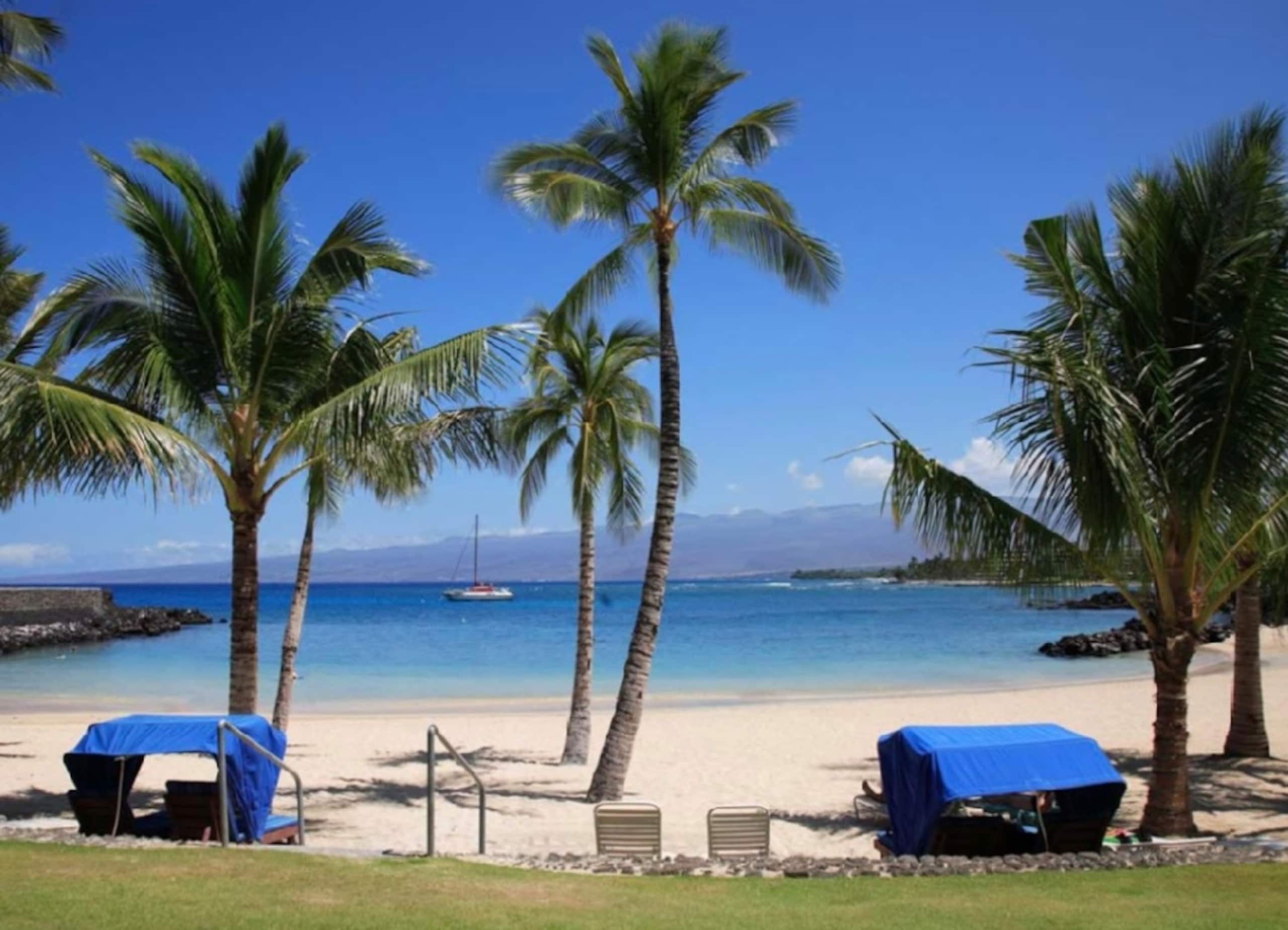 Condo in Waimea · ★5.0 · 3 bedrooms · 4 beds · 3 private baths - Image 56