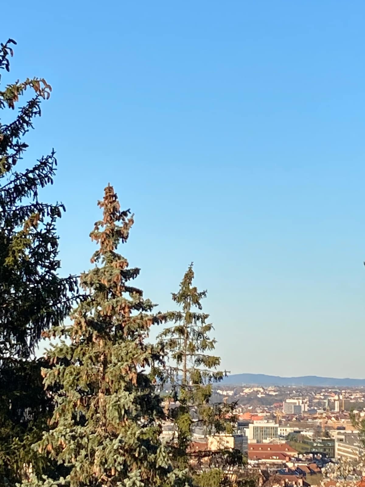 A view of Stuttgart's skyline is showcased through tall green trees, with a clear blue sky above. The urban landscape and distant hills are visible, illustrating the natural and city blend in the surroundings.