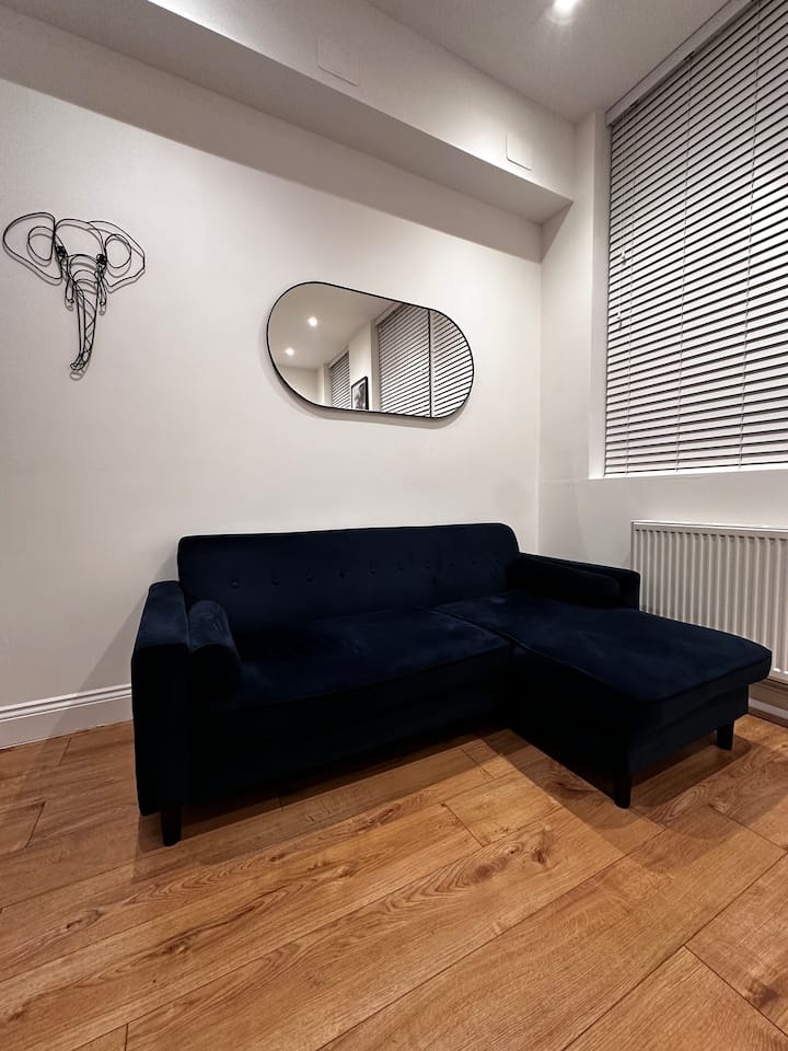 Luxury 2bed Flat Central London - Saint Pancras Station - London