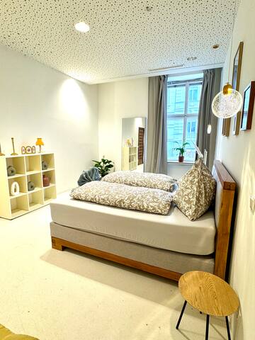 Central Vienna Apartment 140 m2 gallery image 4