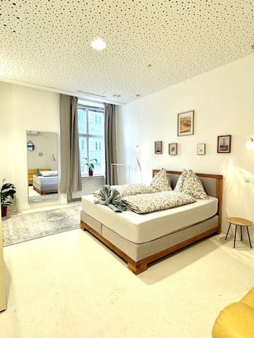Central Vienna Apartment 140 m2