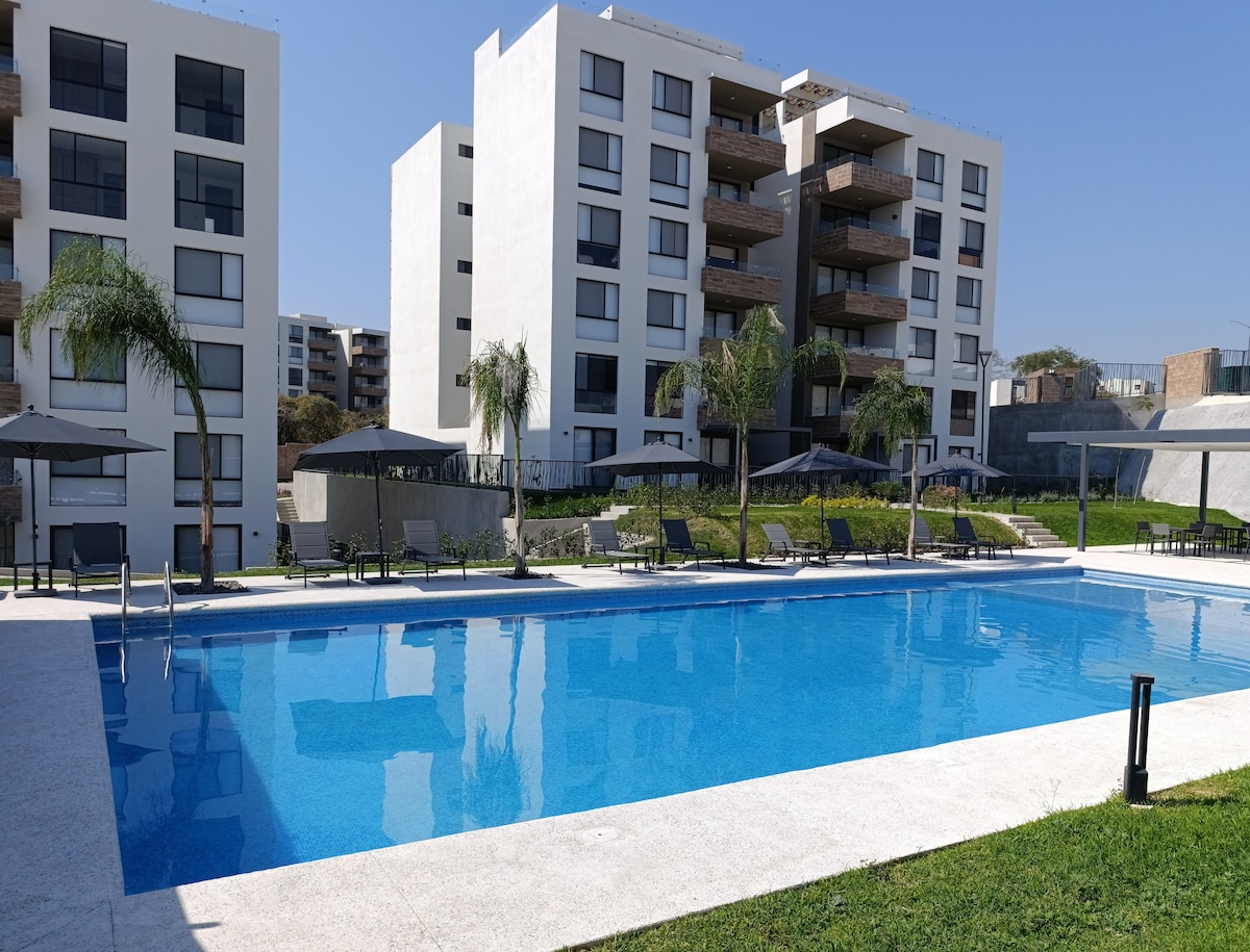 A serene outdoor pool is surrounded by lounge chairs and umbrellas, providing shaded seating. The clear blue water reflects the sunlight, while palm trees add a touch of greenery. In the background, modern buildings create a welcoming atmosphere, enhancing the overall space.