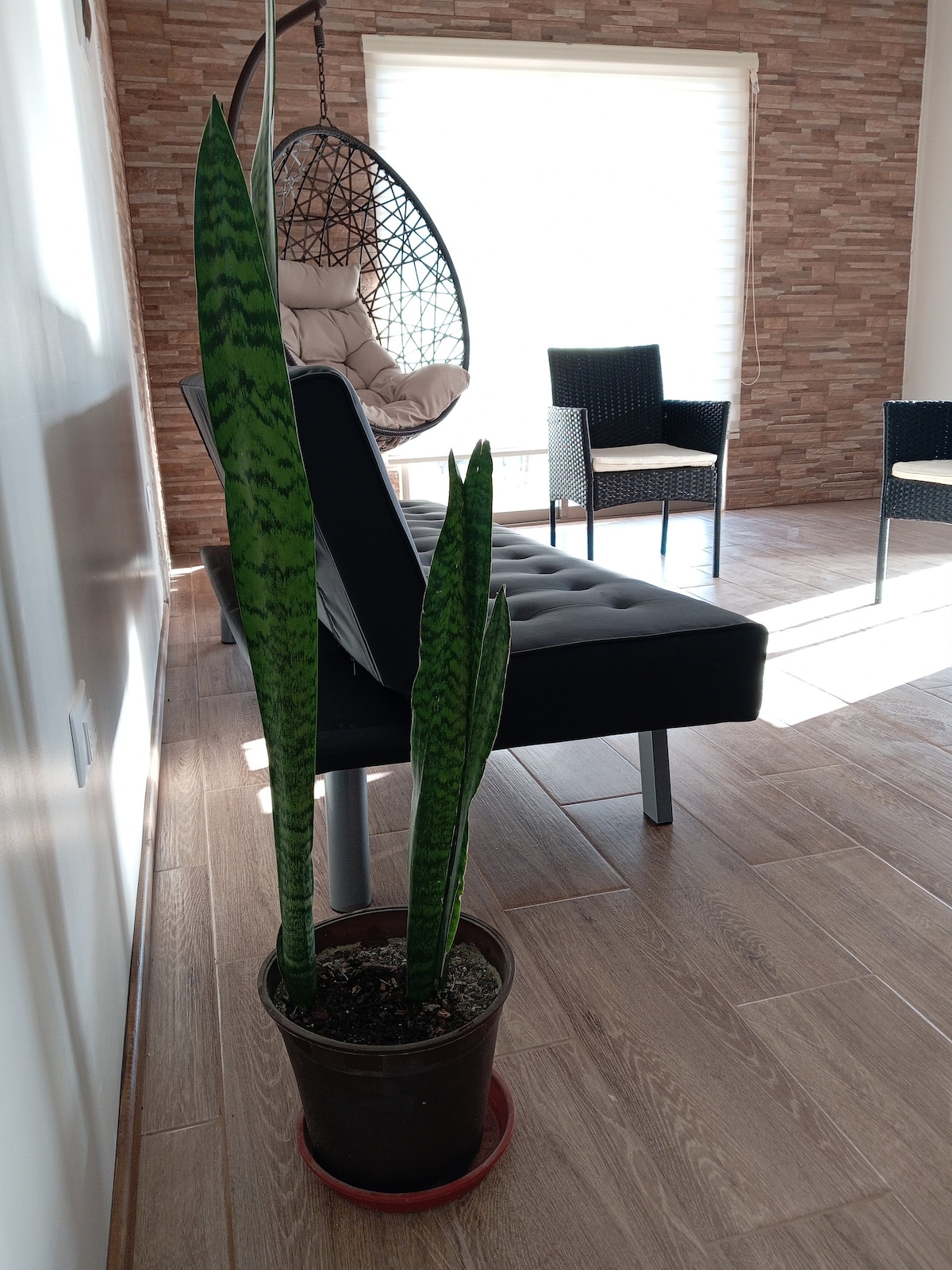 Всекидневна