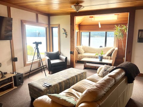 Killer Whale Character Home