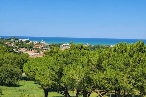 Panoramic Villa with garden in Riccione