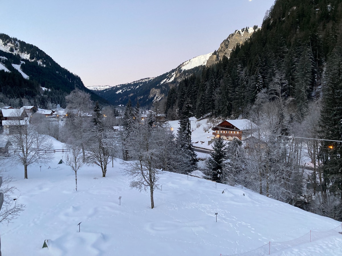 Annonce Airbnb populaire: Sun Gates à Châtel