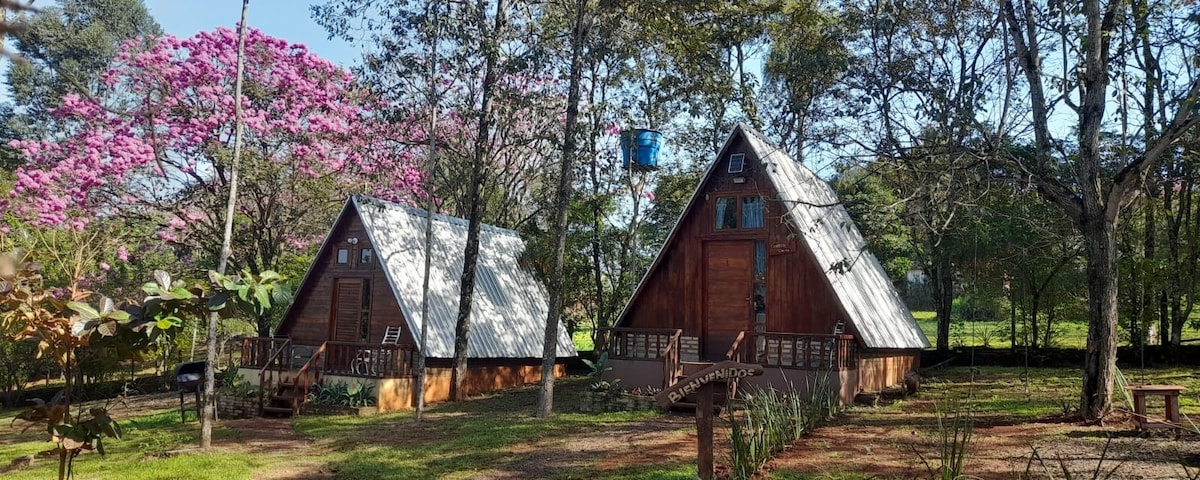 Two charming A-frame cabins are set in a lush green landscape, framed by tall trees and flowering plants. Each cabin features a wooden balcony with a sloped roof, creating a cozy, inviting setting. Bright midday light enhances the natural beauty of the surroundings.