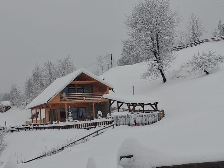 Cabana De Sub Mesteceni - Albac