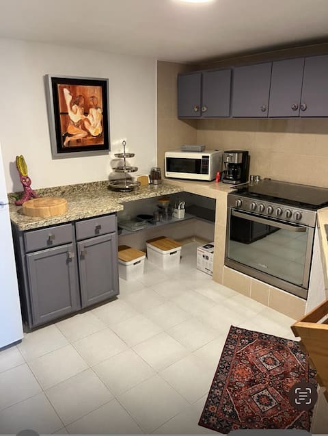 Successful Airbnb property: Lakefront Apartment in San Juan Cosalá