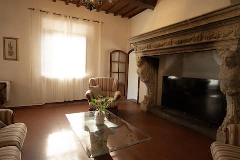Proprietà Airbnb di successo: The Cetine a San Casciano In Val Di Pesa