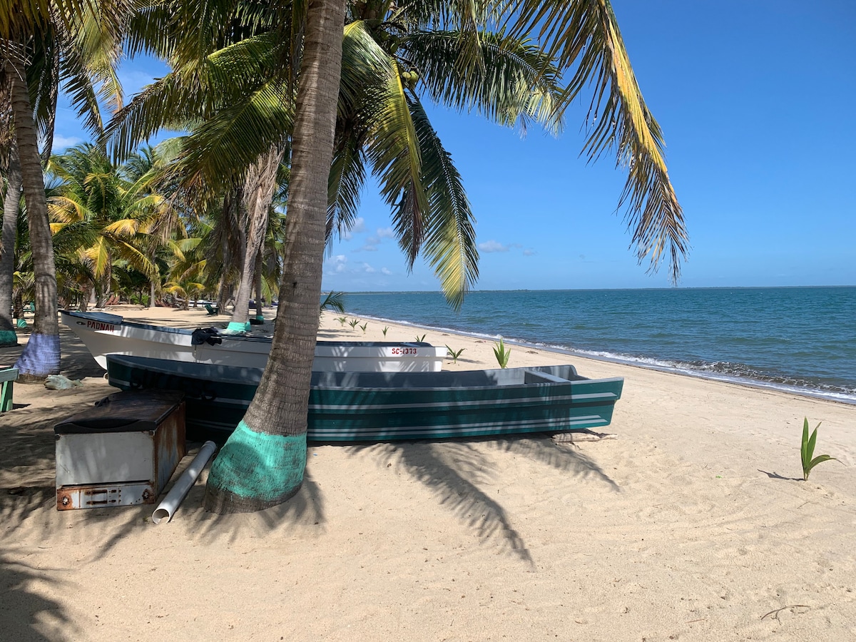 A serene beach scene features gentle waves lapping at the shore. Two boats are positioned on the sandy beach, surrounded by lush palm trees. The clear blue sky provides a bright backdrop, enhancing the tranquil coastal atmosphere.