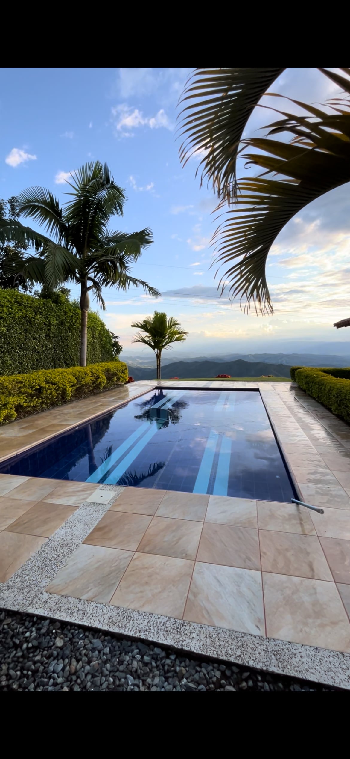 A serene swimming pool is framed by lush greenery and palm trees. The pool's surface reflects the sky, while patterned tiles lead to the water's edge. Expansive views of the surrounding landscape are visible in the background, enhancing the tranquil environment.
