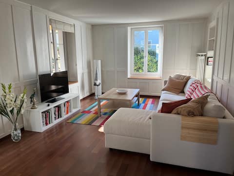 Charming 2 bed flat in Thalwil