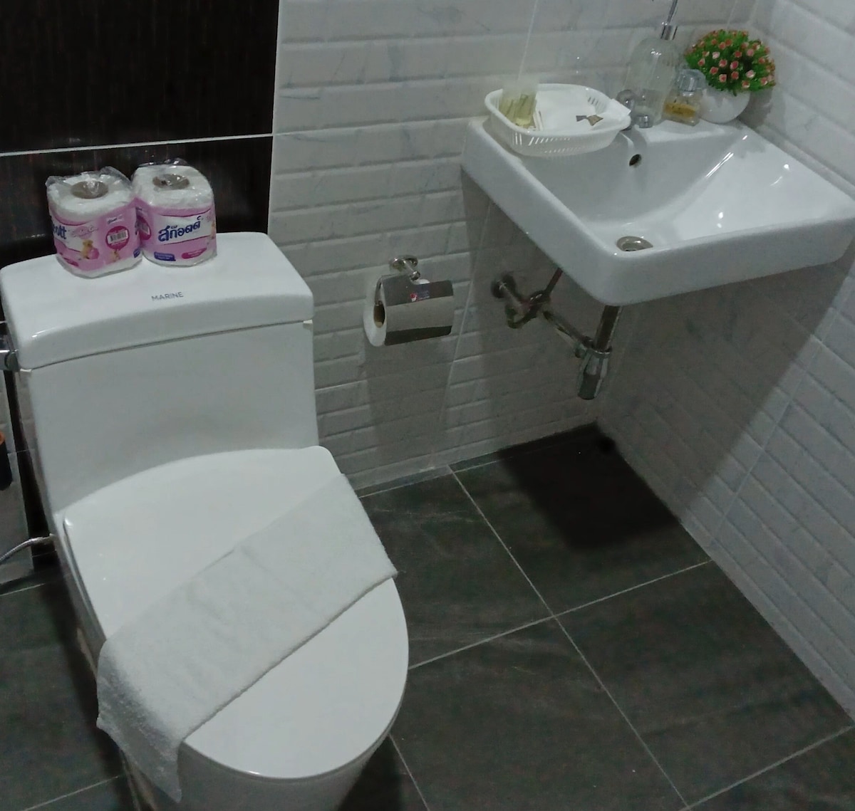 A clean bathroom features a modern toilet and a white sink mounted on the wall. Two rolls of toilet paper are available beside the toilet. A small dish with toiletries sits on the sink, complemented by a decorative plant nearby.