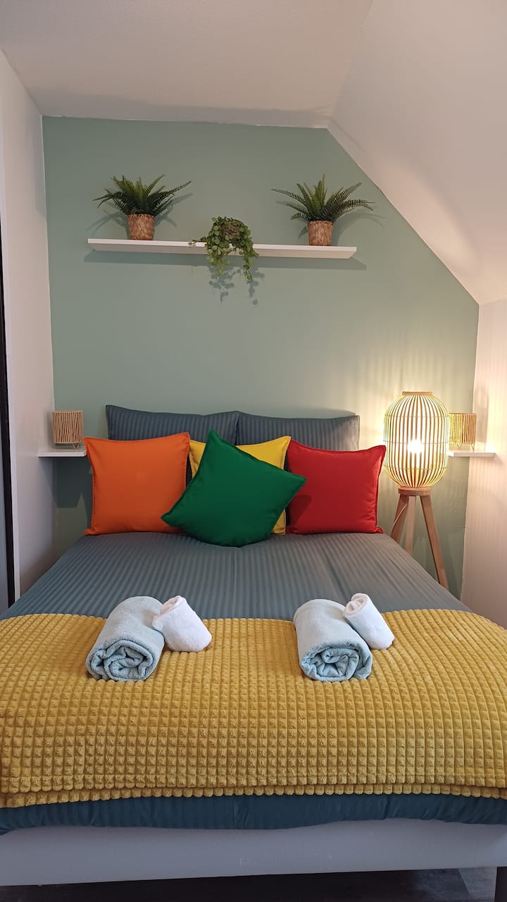 *Charmant Studio+ Parking* - フランス コルマール
