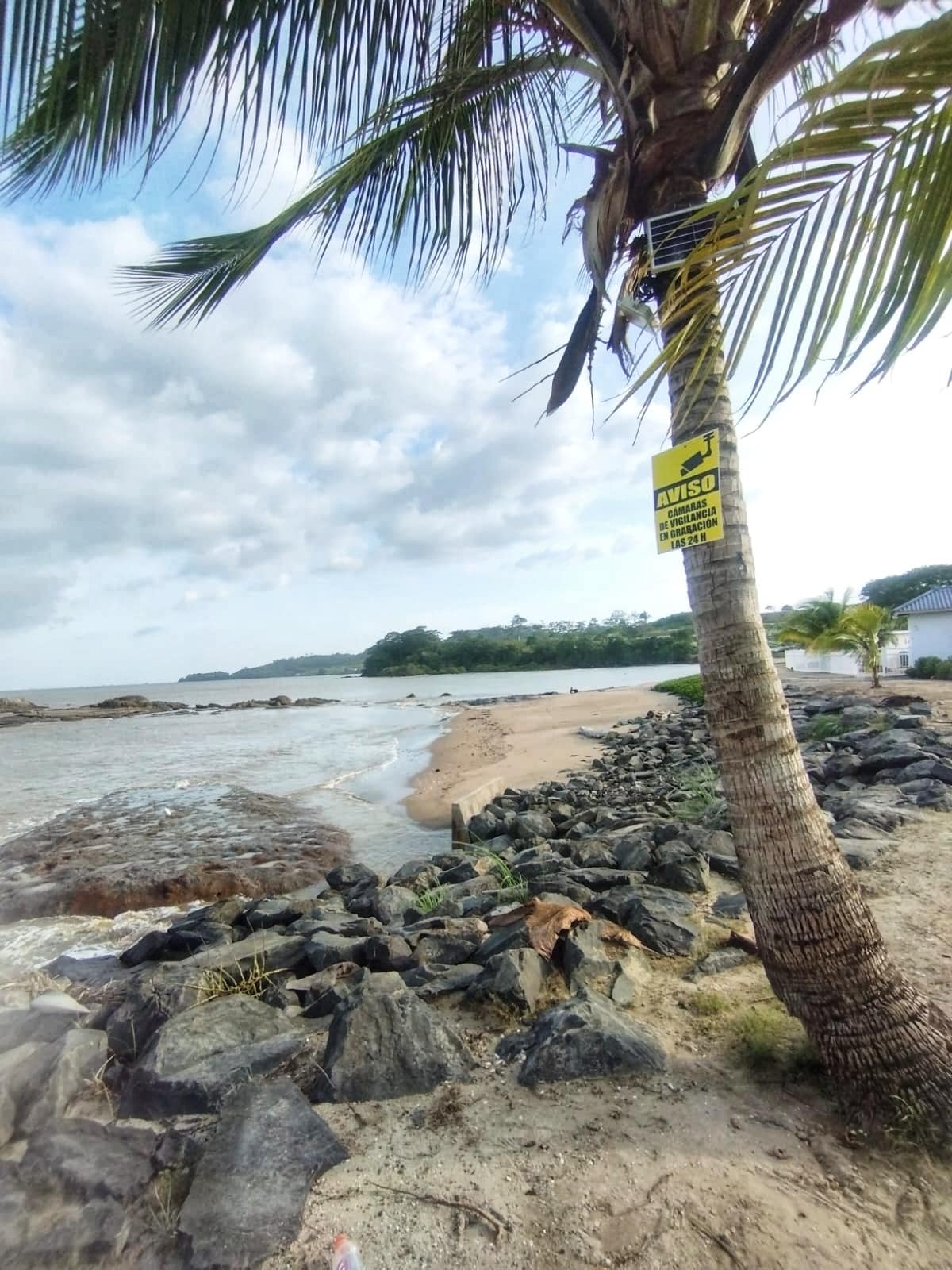 A shoreline view is presented, featuring a sandy beach bordered by rocky outcrops and palm trees swaying gently. Warning signs are visible on a tree, while gentle waves lap against the shore under a partly cloudy sky.