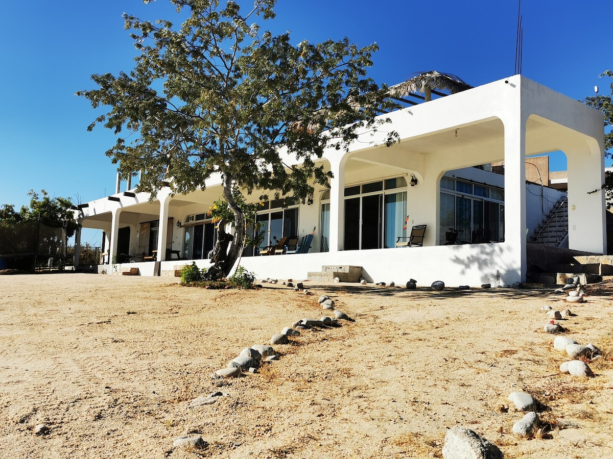 A spacious exterior view showcases a modern white structure with large windows and multiple covered porches. A dust pathway lined with stones leads towards the entrance, while a large tree provides shade nearby, creating a calm and open atmosphere.
