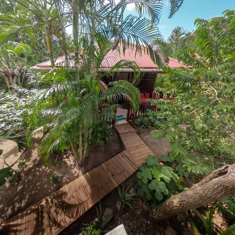 A wooden pathway meanders through lush tropical vegetation, leading to a cabin with a red roof. The surrounding greenery includes diverse plants and palm trees, creating a secluded and natural atmosphere. Sunlight filters through the leaves, enhancing the serene setting.