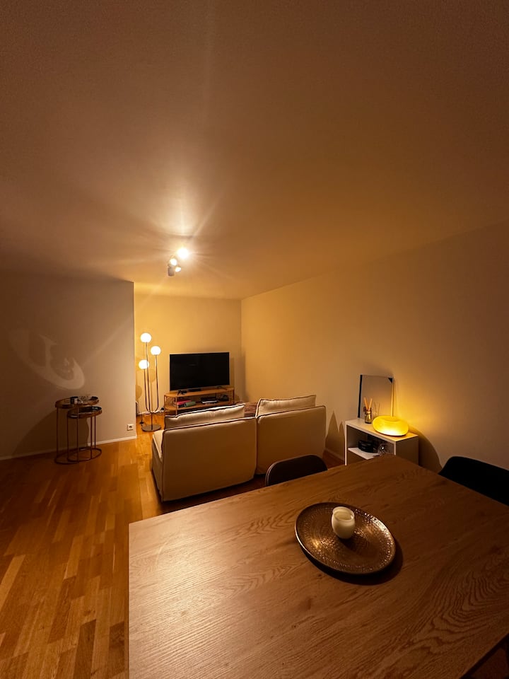 Charming & Cozy Flat Downtown - Reikiavik