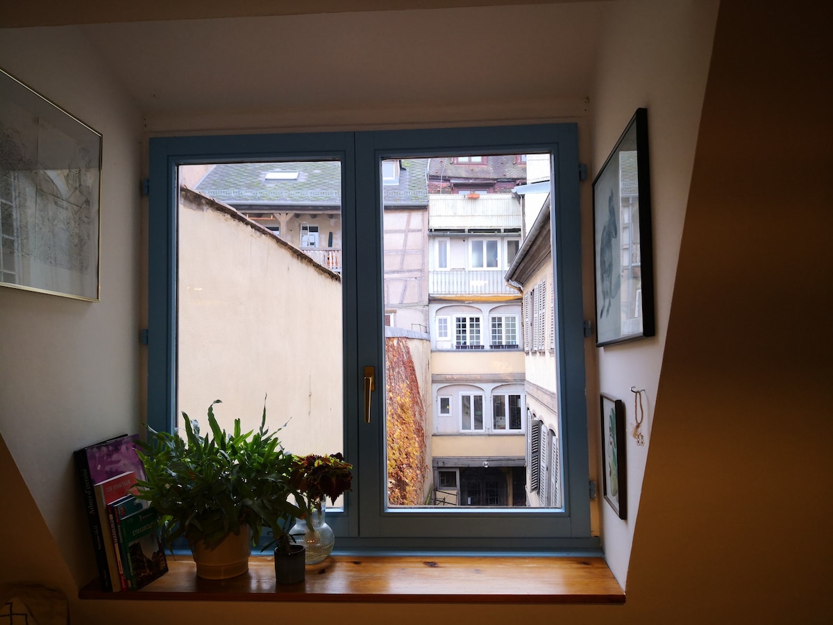 Annuncio Airbnb popolare: Duplex apartment in the historic center a Strasbourg