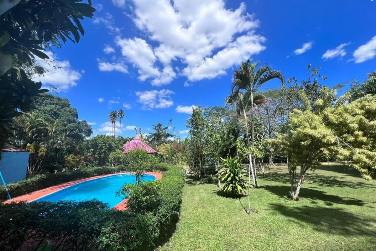 A spacious garden is framed by lush greenery, featuring a swimming pool surrounded by a landscaped area. Various palm and flowering trees add vibrancy to the scene under a clear blue sky, creating a serene outdoor environment suitable for gatherings.