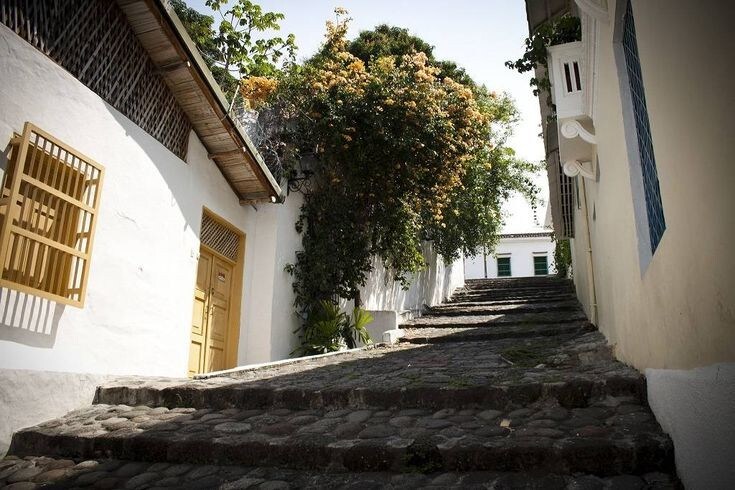 A cobblestone street leads upward, flanked by white-walled buildings. A yellow door is visible on the left, while vibrant green foliage and flowers add natural beauty to the scene. The pathway is illuminated by gentle sunlight penetrating through the trees.