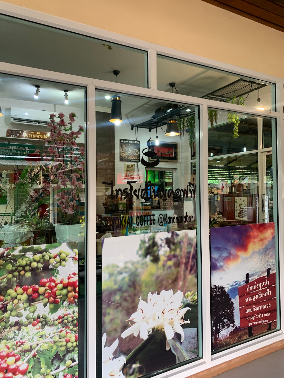 The exterior of a coffee shop is visible, featuring large glass windows adorned with decorative plants and flowers. A sign indicates the establishment's name and social media handle. Inside, a selection of coffee plants and artistic decor adds to the inviting atmosphere.