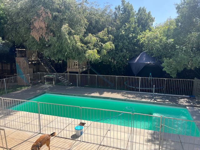 Open Plan Family Home with Pool gallery image 5