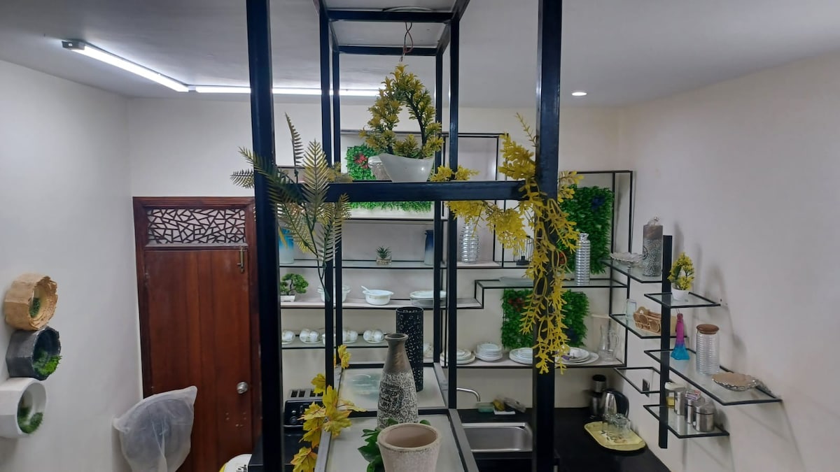A modern kitchen area features stylish open shelving adorned with potted plants and decorative vases. A variety of dishware is arranged neatly on the shelves, with a spacious sink and countertop visible below. The space is illuminated by overhead lighting, enhancing its clean, sophisticated design.