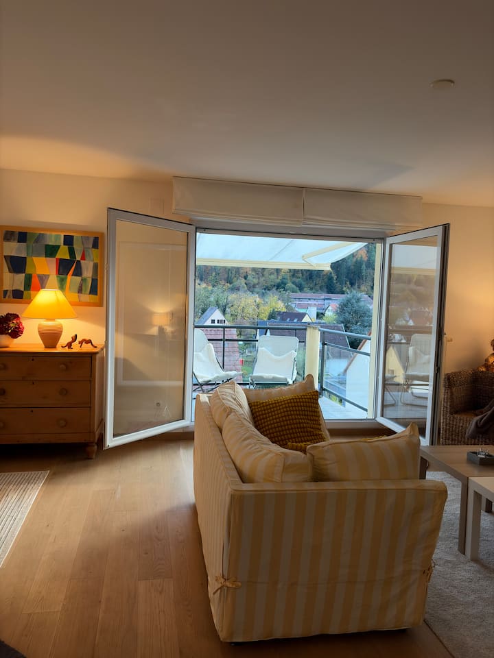 Paudofé Une Parenth'aise Appart 85m² Ascenseur - Riquewihr