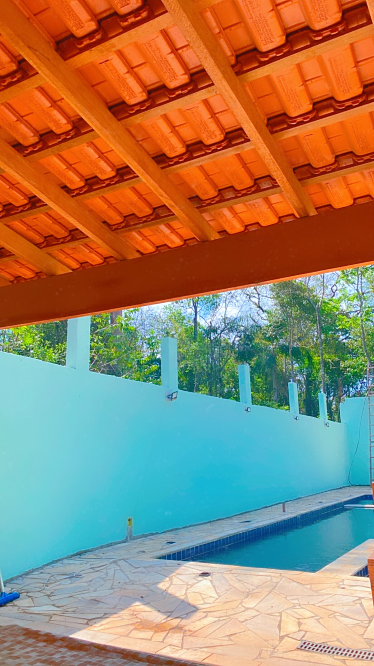 The image features a view of a pool area framed by a wooden structure overhead. A bright blue wall borders the space, complemented by lush greenery in the background. Natural light creates a vibrant atmosphere, highlighting the tranquil ambiance of the outdoor setting.