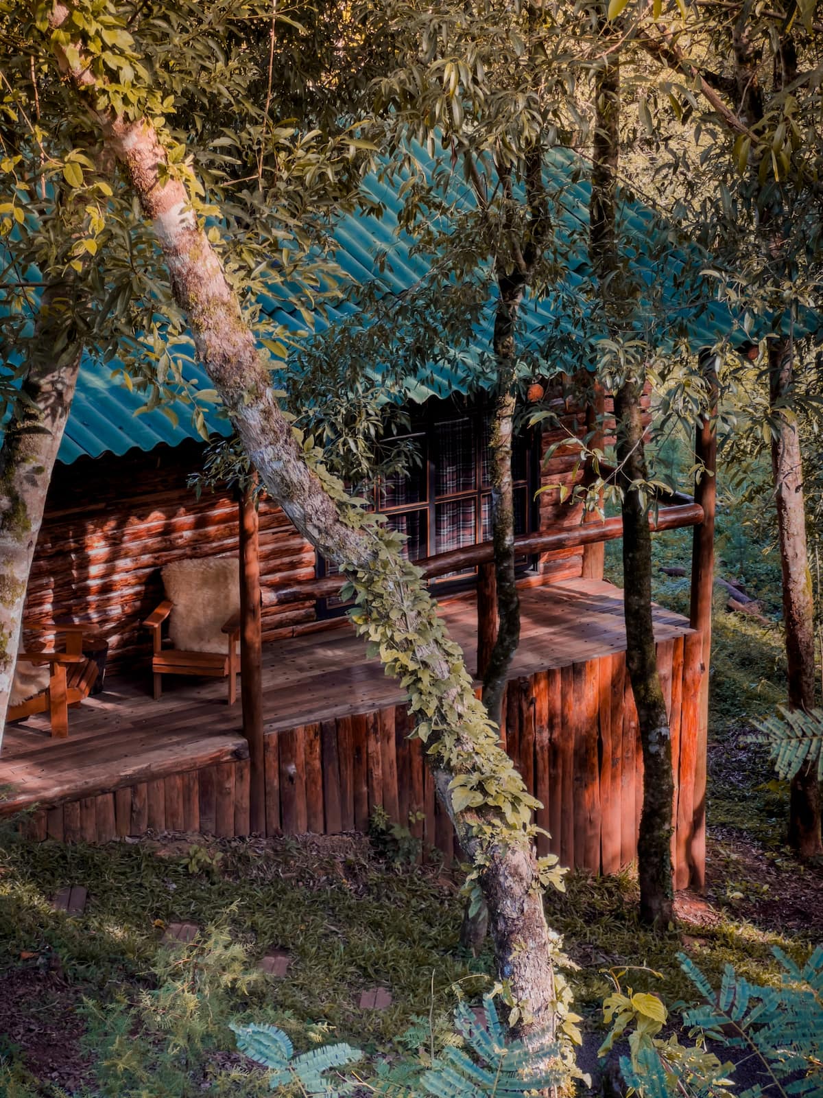 Cabana Yellowstone