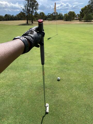 Tranquil, Golf, Forest, Mountains +Kangaroo views gallery image 5