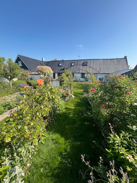 Spacious homestead from 1860 - Hammenhög, Österlen