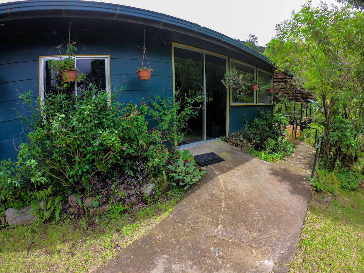 A pathway leads to the entrance of a mountain house, surrounded by lush green foliage and hanging flower pots. Large windows provide views of the natural landscape, with a smooth concrete surface guiding guests towards the inviting doorway.