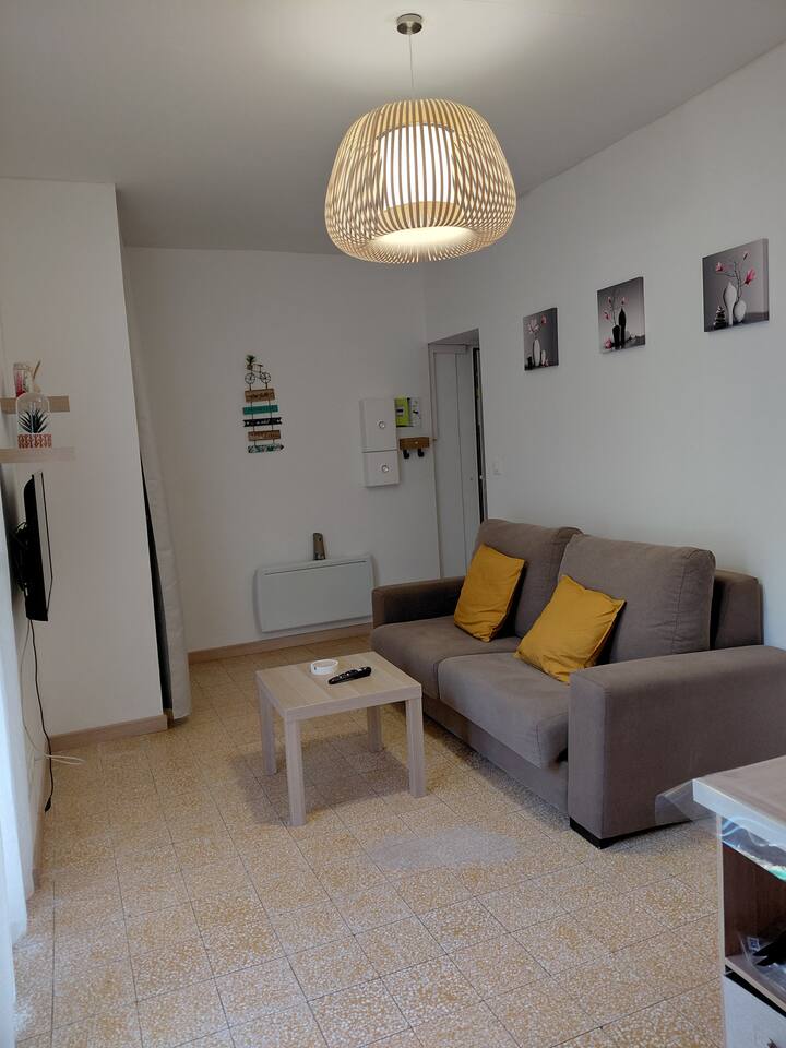 Studio Front De Mer Terrasse Et Jardinet - Collioure