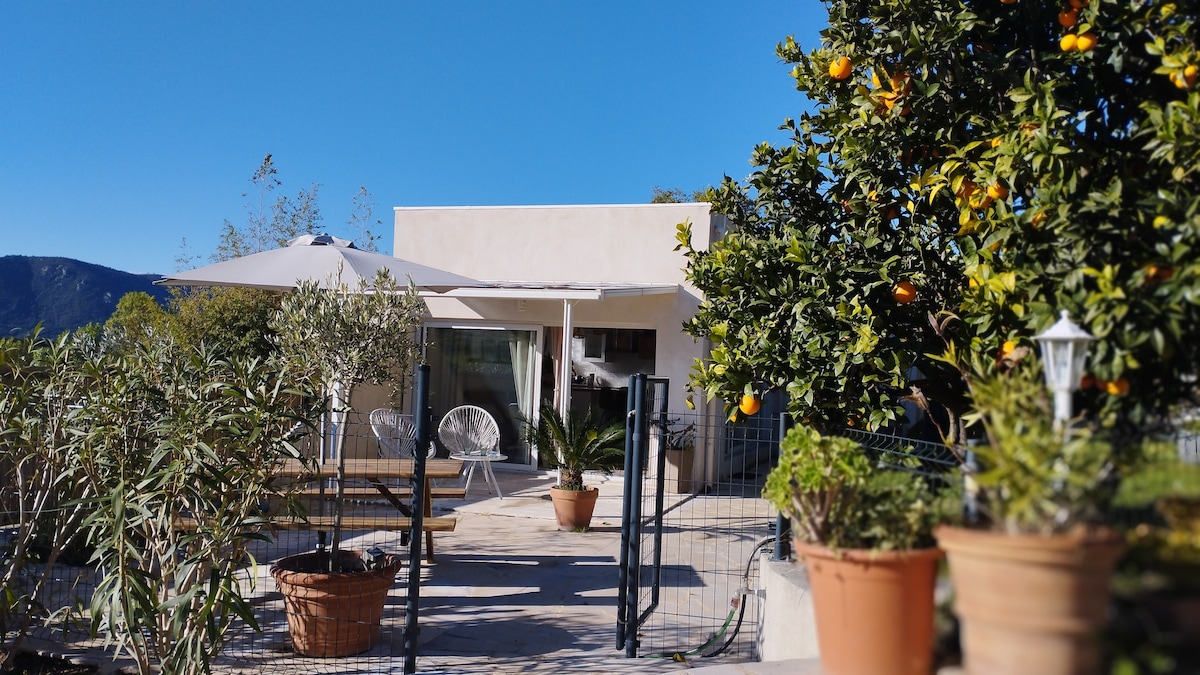 A welcoming outdoor space features a shaded seating area under an umbrella, surrounded by orange trees and potted plants. The entrance to the house is visible in the background, showcasing large windows that allow natural light into the interior.