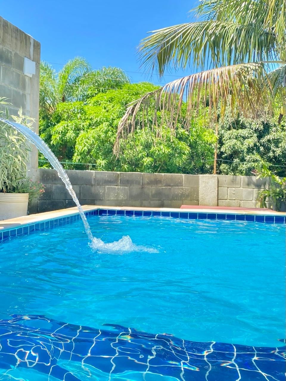 A refreshing pool is framed by lush greenery, showcasing clear blue water and a gentle water feature. The pool area is bordered by smooth tiles, presenting a serene environment for relaxation.