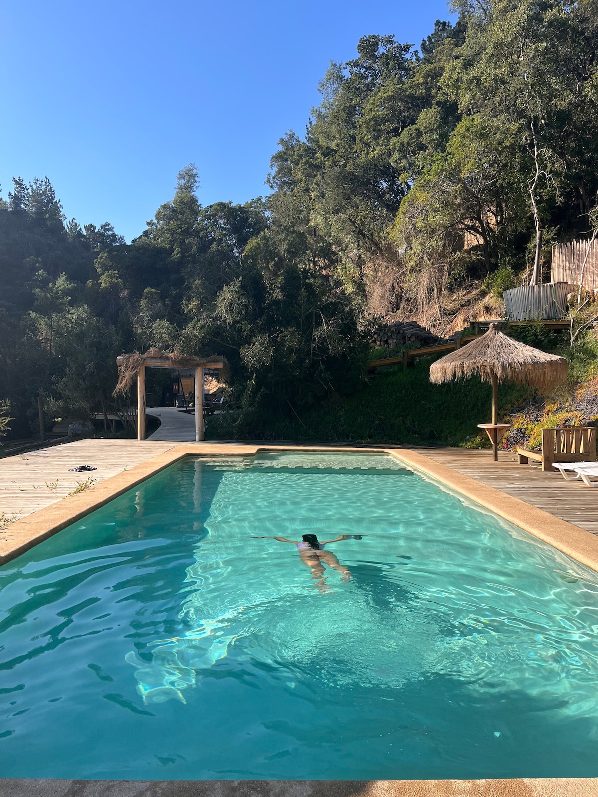 A swimming pool is surrounded by natural greenery, with wooden sunbeds positioned near the edge. Tall trees create a serene backdrop, while a shaded structure is visible in the distance. The water glistens under clear blue skies, inviting relaxation.