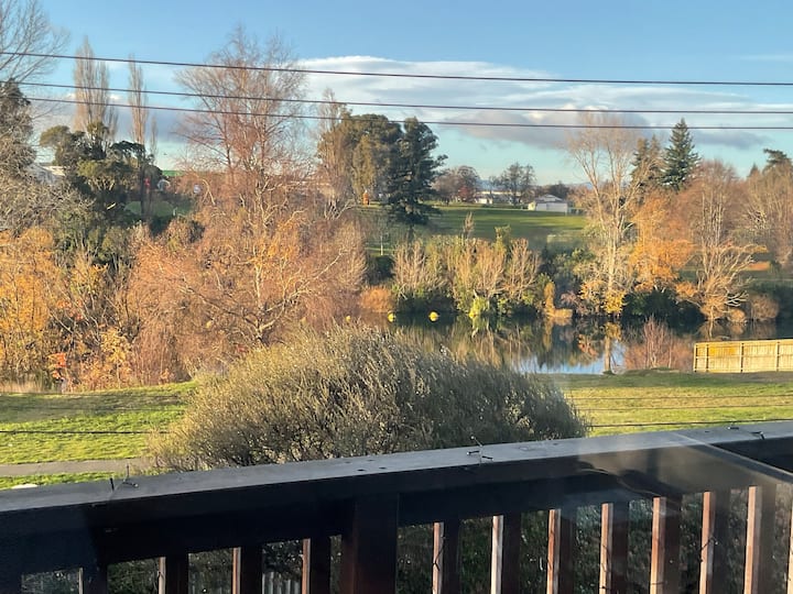 Birds Nest - Taupo