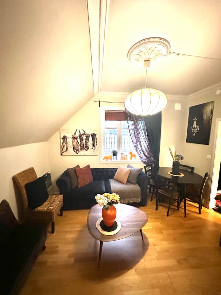 Historical House With View And Shared Patio - Alesund