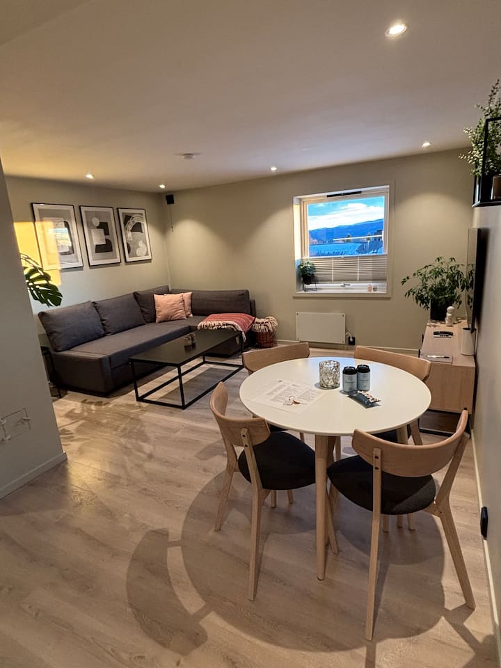 Illustration of Luxury Condominiums Norway Rent