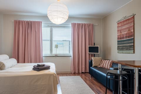 Top performing Airbnb: Studio with excellent location in Ii Vaara