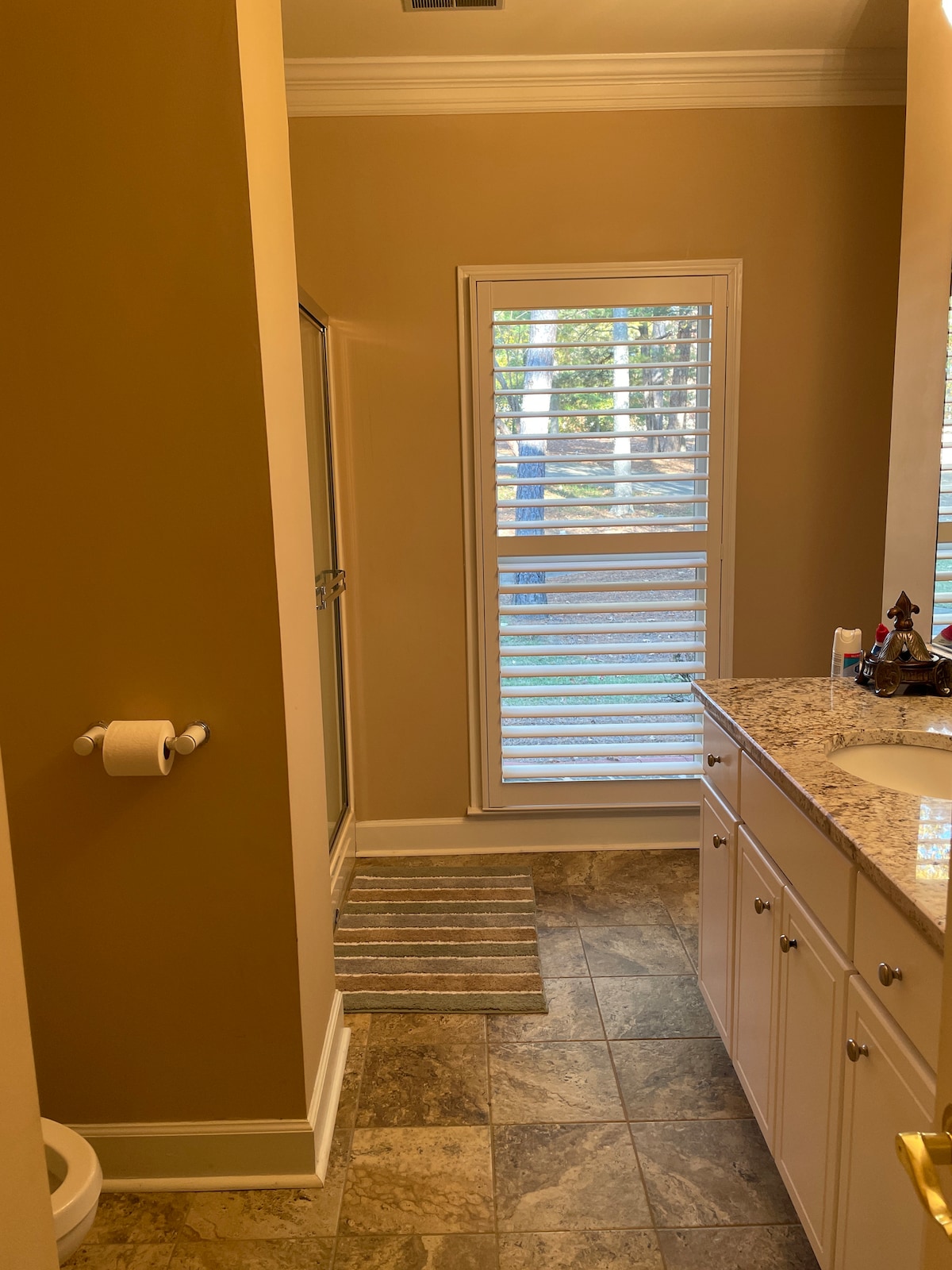 A bathroom is featured with a spacious vanity topped with granite, offering ample counter space. Natural light filters through a window with plantation shutters, illuminating the serene space. A glass shower enclosure is visible alongside a decorative area rug, contributing to the functional design.