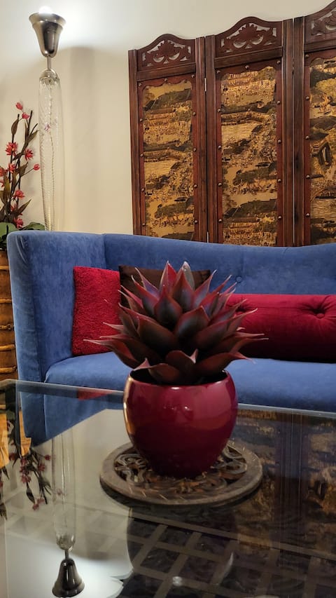 Popular Airbnb listing: Premium Apt in Historic Centre in Nové Město