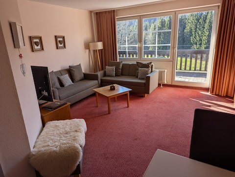 Leistungsstarkes Airbnb: Recreation in Hinterzarten in Hinterzarten