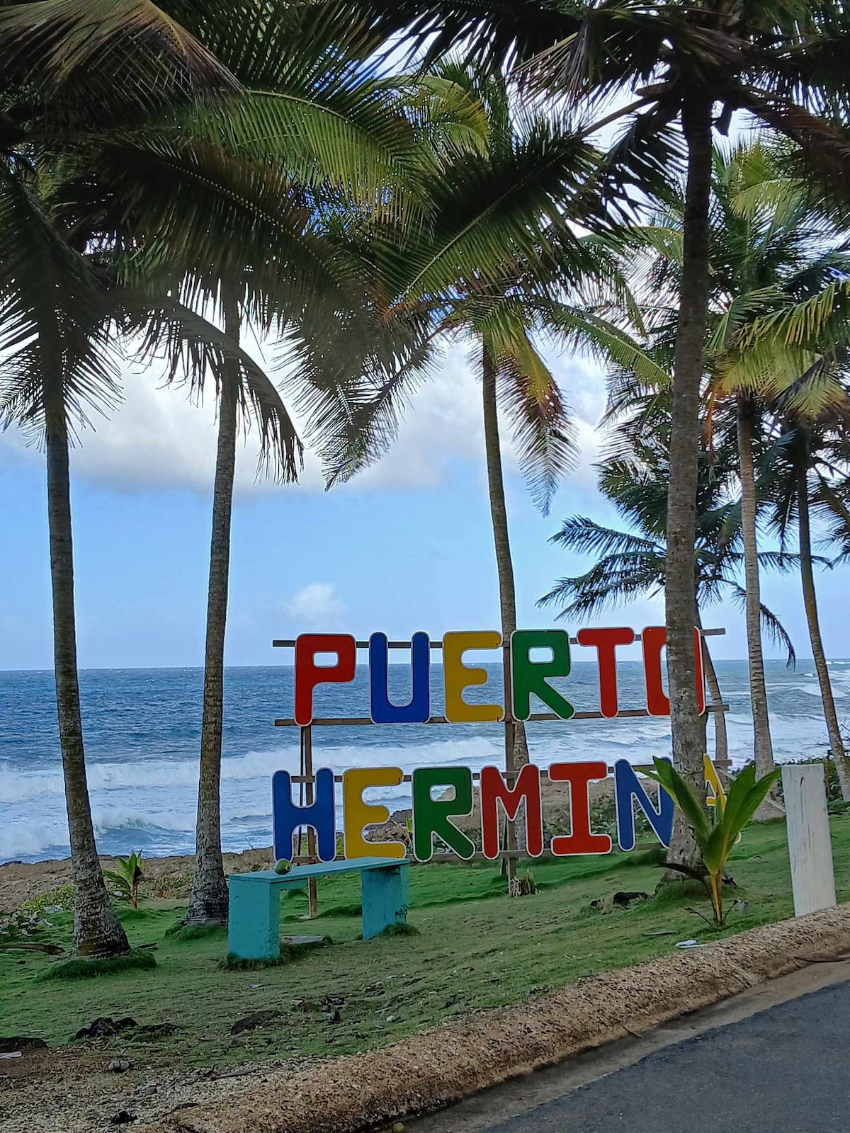 A colorful sign reading 'PUERTO HERMINA' stands amidst swaying palm trees, with the ocean visible in the background. The area is landscaped with green grass, and a wooden bench can be seen nearby, inviting relaxation while enjoying the coastal view.