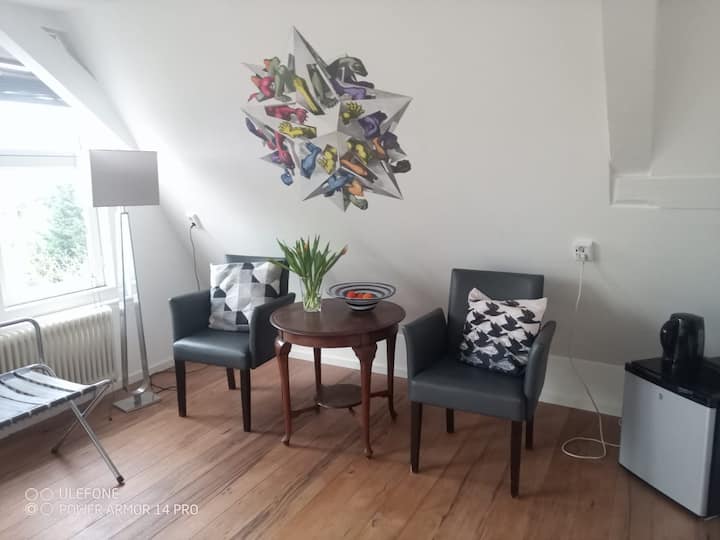 Spacious Room In The Heart Of The City Centre - Amsterdam