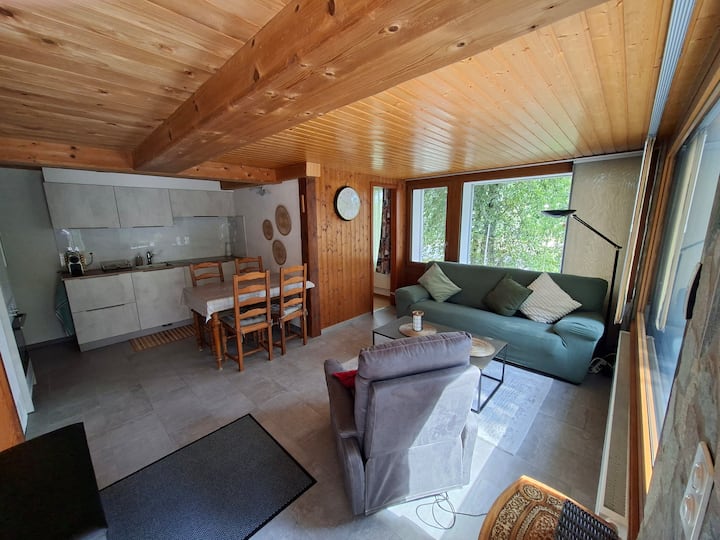 Vercorin 2,5pces De Plain-pied + Terrasse - Vercorin
