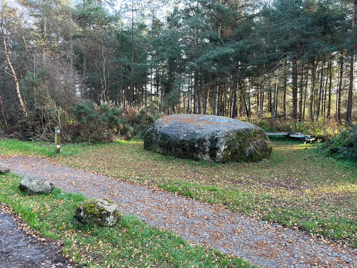A large stone sits surrounded by a natural landscape, with patches of grass and fallen leaves. Tall trees form a backdrop, creating a serene and quiet atmosphere. A gravel path leads through the area, inviting exploration of the woodland surroundings.